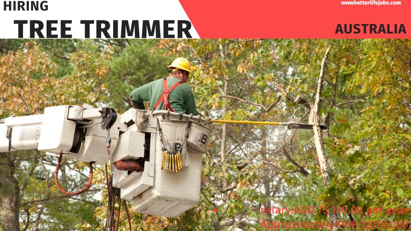 Hiring Tree Trimmer In Australia 2025