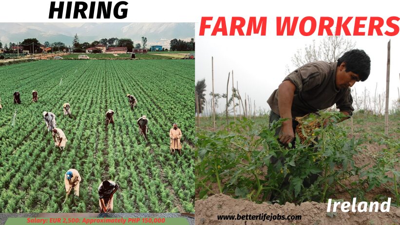 Hiring Farm Workers Ireland 2025